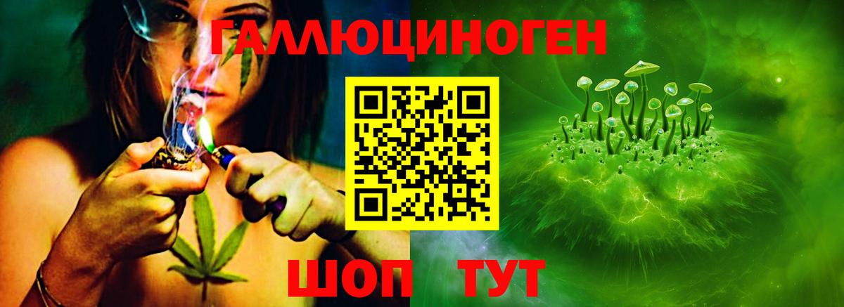 Беслан  Псилоцибиновые грибы Cubensis  Вход с VPN 
